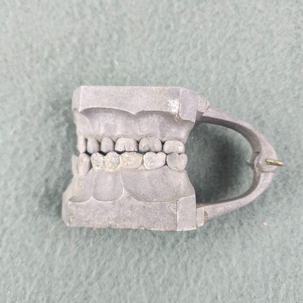 Columbia Dentoform Endoform Dental Phantom Teeth Model Aluminum Display  Antique